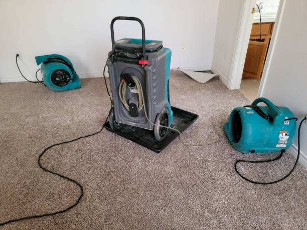 Best Sewage cleanup and water damage restoration  in Seaside Park, NJ