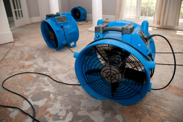 Best Water damage contractors near me  in Seaside Park, NJ