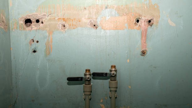 Best Mold removal after water damage  in Seaside Park, NJ